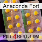 Anaconda Strong new10
